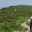 평원상회 이미지