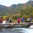 16억 원이나 들여 만든 길이라고?... 누구나 편하게 걷는 6.2km 12월 트레킹 코스 이미지