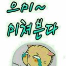 여유로움 Daum카페
