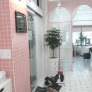 레푸스&아트포레 이미지