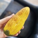 강릉 정남미명과 구황작물빵 후기(가격,주차)