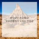 그리치과기공소 이미지