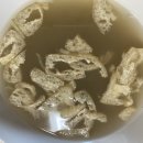 삼양동우동집 이미지