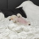 도래울바람물공원 이미지