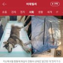 천지동물병원 이미지