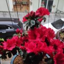 풍성농장 이미지