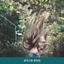 로이드밤용당점