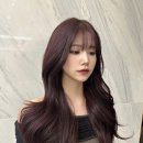 고은헤어 네이버블로그