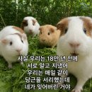 시고