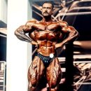 지투피트니스 이미지