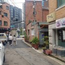 더톨 이미지
