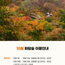 네일:화담 이미지