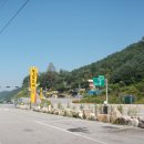 동갈보대 이미지