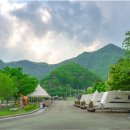 어름치마을캠핑장 이미지