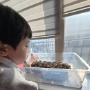 연우네 농장 이미지