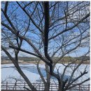 꽃지늘봄펜션 | 안편도펜션 꽃지늘봄펜션에서의 특별한 추억 만들기