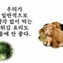 우리가 지켜야할 건강 상식 정보 이미지