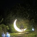 이천 1박 2일(에덴 파라다이스, 별빛정원우주, 시몬스테라스, 테르메덴)