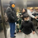 버블리 네이버블로그