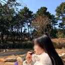 차이티 | 안나수이 뷰티 립스틱 501 차이 티 사용후기