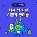 사단법인 국제푸른나무 이미지