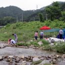 윗사기막 이미지