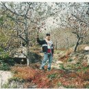 송암농원 이미지