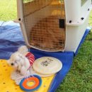 벨라켄넬 이미지