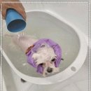 츄펫살롱 이미지