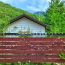 인제 연가리 오토캠핑장 펜션 이미지