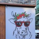 청춘한우정육식당 이미지