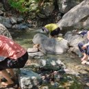 웅석봉초록길 이미지