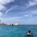 라차비치 이미지