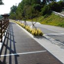 오십천로 이미지