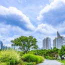 중앙공원(2) 이미지