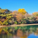 한산도 제승당 이미지