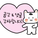 돌집야영장 이미지