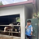 영희목장 이미지