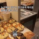 대전 하레하레 도안점 늑구빵 출시 이미지