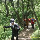 삼태농장 이미지