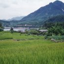 고향초가집 이미지