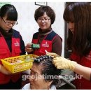 옥포경로당 이미지