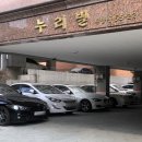 라비드헤어 이미지