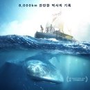 🎬영화 콘-티키: 위대한 항해 줄거리 결말 정보