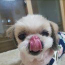 원당약국 이미지