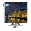 의림지 놀이공원 파크랜드 및 야경 유리전망대 산책 후기