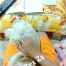 엄마손꿀꿀이 네이버블로그