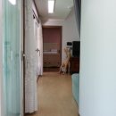 자유민박 이미지