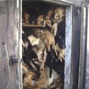 동보농장 이미지