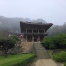 애니카랜드영주지점 | 영주 가볼만한곳 영주 부석사 은행나무 무량수전 전국 유명사찰 - 방문후기